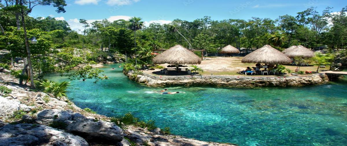 Foto de departamento en , aldea tulum, tulum, quintana roo, 0 foto 10 Foto de departamento en venta en , aldea tulum, tulum, quintana roo, 0 No. 10