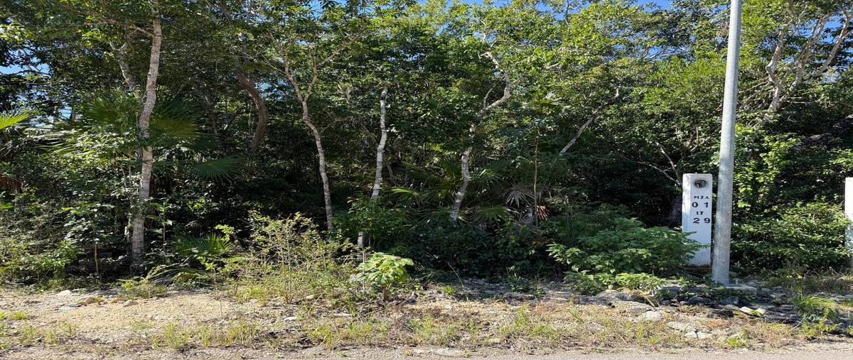 Foto de terreno habitacional en venta en  , aldea tulum, tulum, quintana roo, 0 No. 05