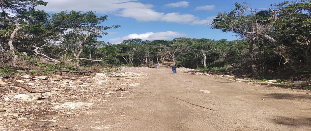 Foto de terreno habitacional en venta en  , aldea tulum, tulum, quintana roo, 0 No. 03