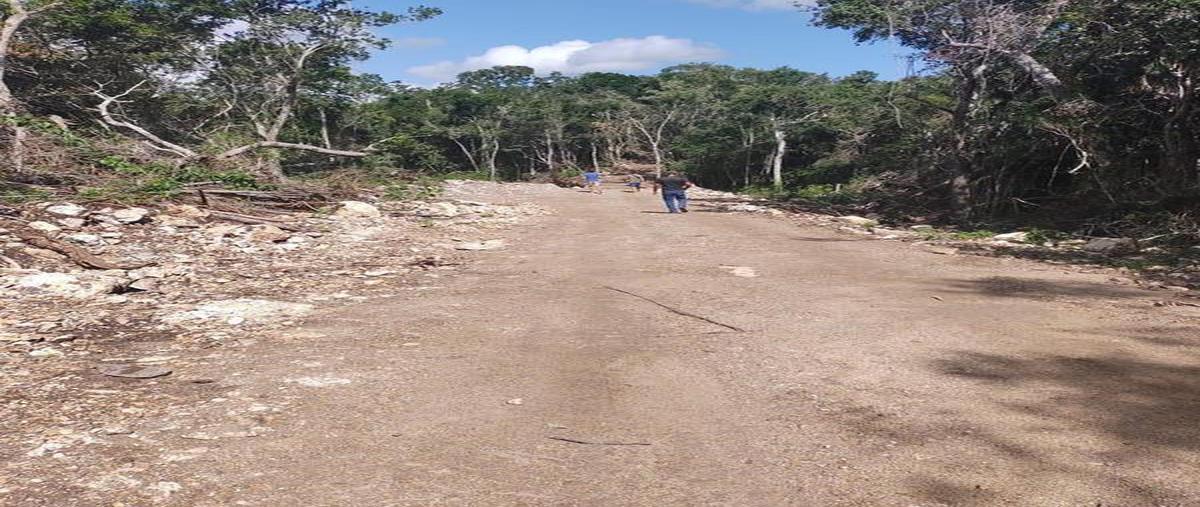 Foto de terreno habitacional en venta en  , aldea tulum, tulum, quintana roo, 0 No. 05