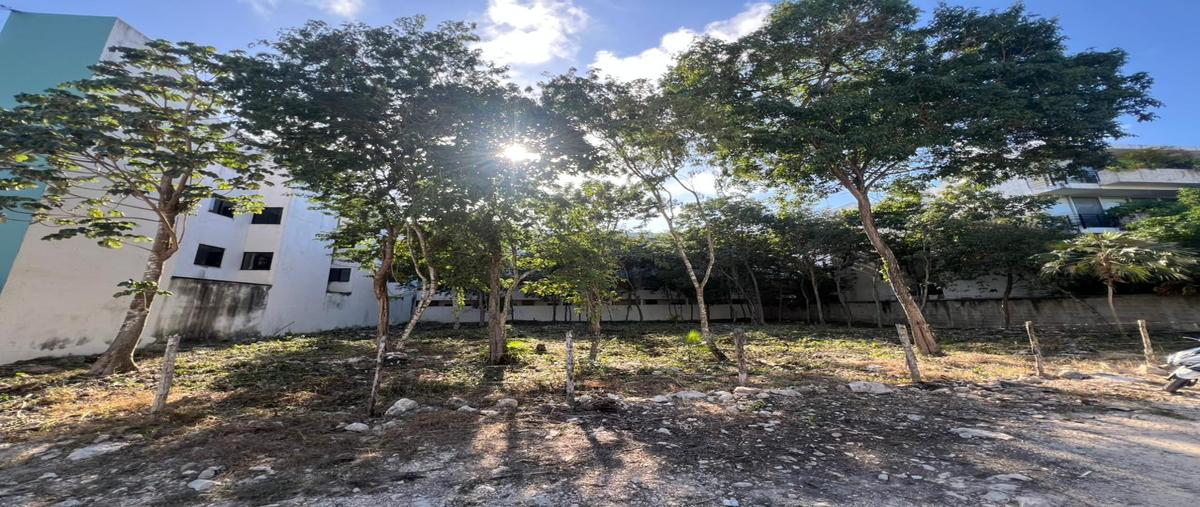 Foto de terreno habitacional en venta en  , aldea tulum, tulum, quintana roo, 30916876 No. 04