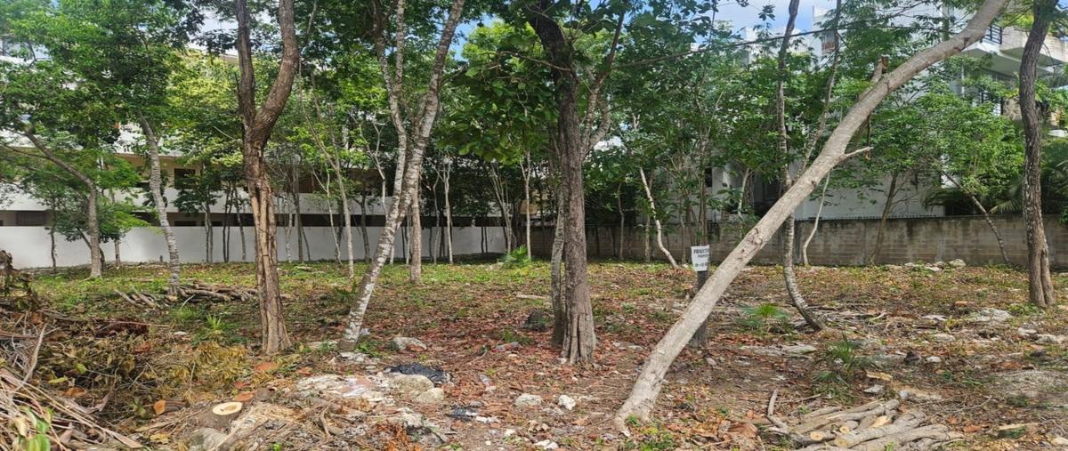 Foto de terreno habitacional en venta en  , aldea tulum, tulum, quintana roo, 30916876 No. 05