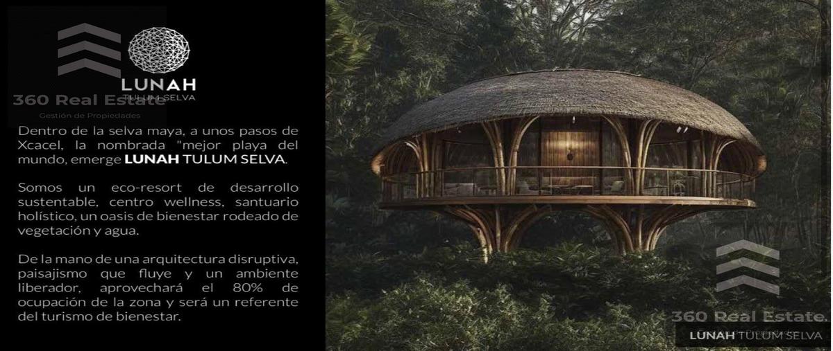 Foto de edificio en , aldea tulum, tulum, quintana roo, 30927982 foto 02 Foto de edificio en venta en , aldea tulum, tulum, quintana roo, 30927982 No. 02