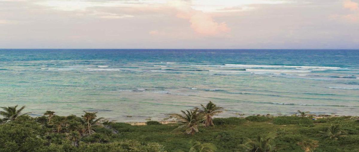 Foto de departamento en venta en  , aldea tulum, tulum, quintana roo, 0 No. 05