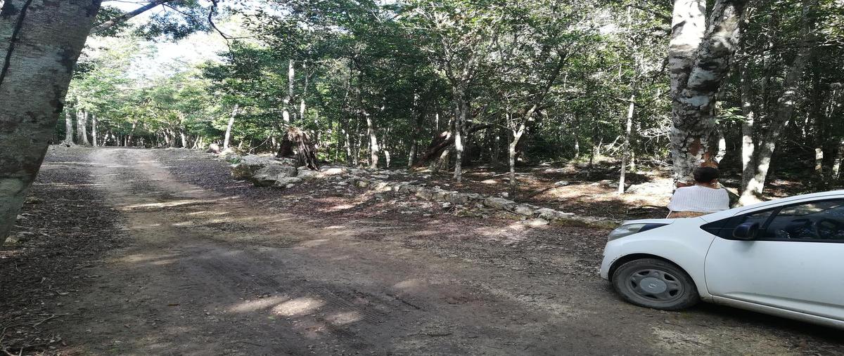 Foto de terreno habitacional en venta en  , aldea tulum, tulum, quintana roo, 0 No. 03