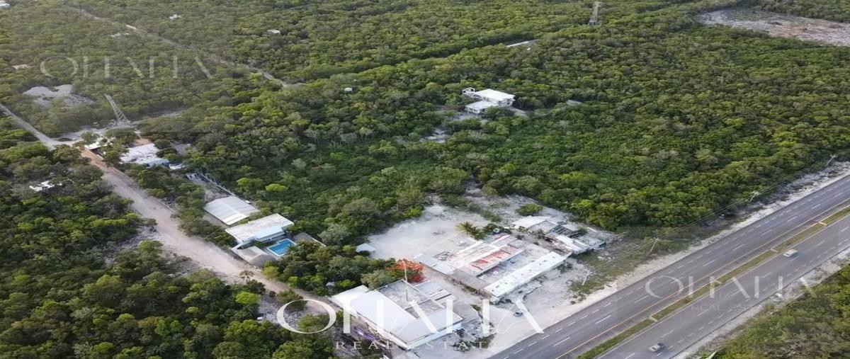 Foto de terreno habitacional en , aldea tulum, tulum, quintana roo, 31472190 foto 03 Foto de terreno habitacional en venta en , aldea tulum, tulum, quintana roo, 31472190 No. 03