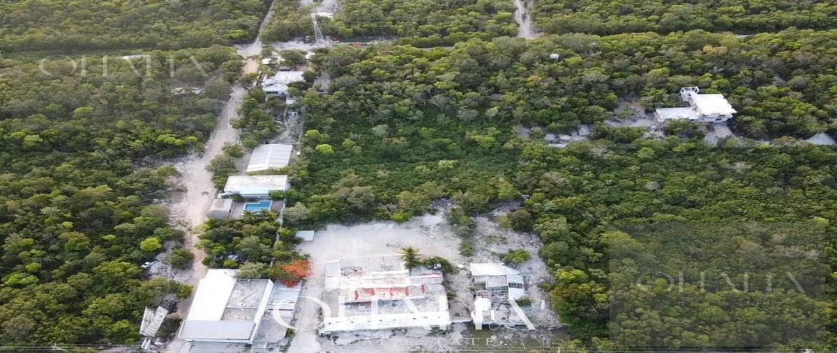 Foto de terreno habitacional en , aldea tulum, tulum, quintana roo, 31472190 foto 04 Foto de terreno habitacional en venta en , aldea tulum, tulum, quintana roo, 31472190 No. 04