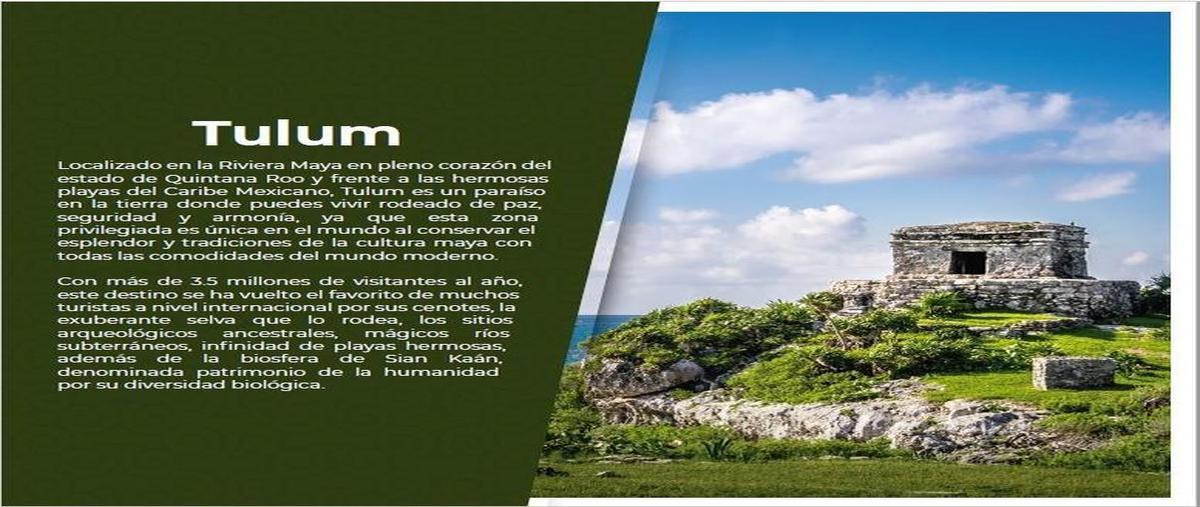 Foto de departamento en , aldea tulum, tulum, quintana roo, 8085423 foto 05 Foto de departamento en venta en , aldea tulum, tulum, quintana roo, 8085423 No. 05