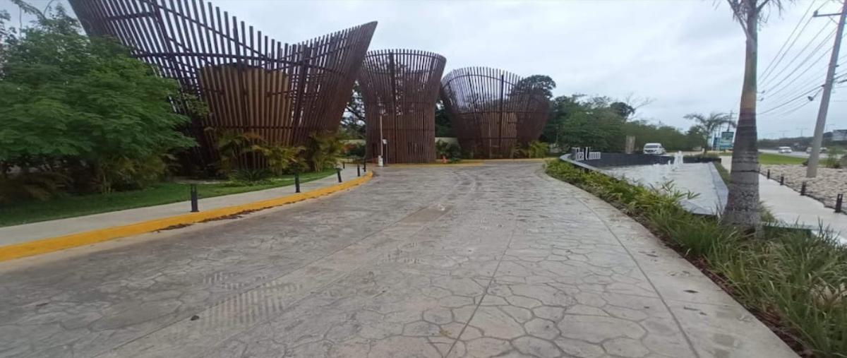 Foto de rancho en aldea umm , puerto morelos, puerto morelos, quintana roo, 0 foto 05 Foto de rancho en venta en aldea umm , puerto morelos, puerto morelos, quintana roo, 0 No. 05