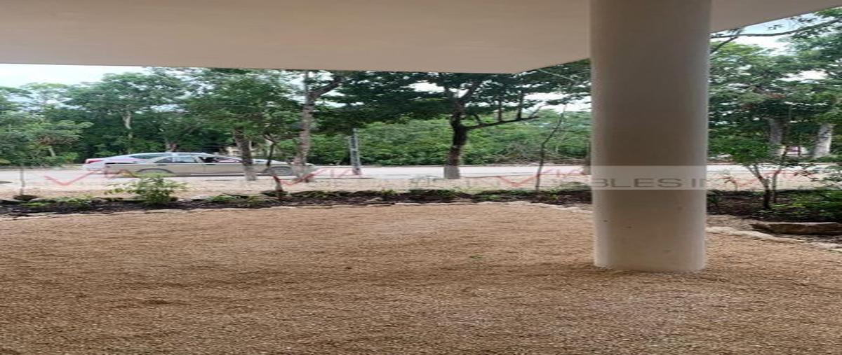 Foto de local en aldea zama , aldea zama, tulum, quintana roo, 0 foto 05 Foto de local en venta en aldea zama , aldea zama, tulum, quintana roo, 0 No. 05