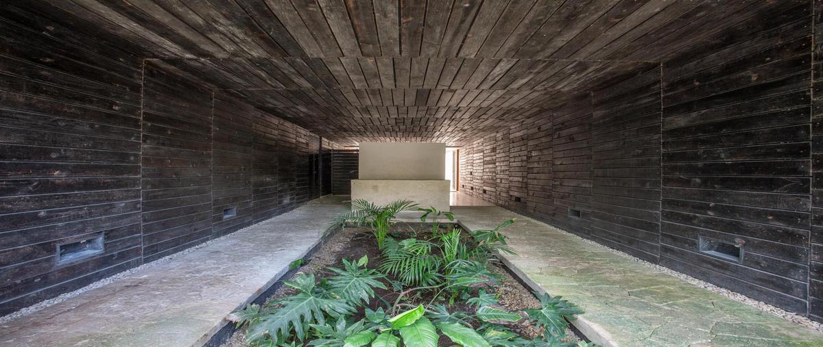 Foto de departamento en venta en  , aldea zama, tulum, quintana roo, 0 No. 03