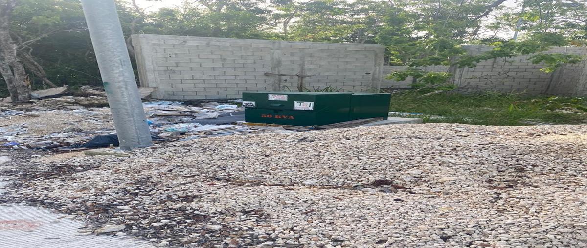 Foto de terreno habitacional en , aldea zama, tulum, quintana roo, 30108864 foto 04 Foto de terreno habitacional en venta en , aldea zama, tulum, quintana roo, 30108864 No. 04