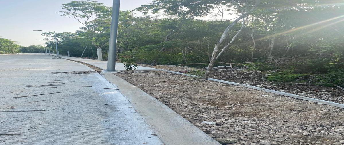 Foto de terreno habitacional en , aldea zama, tulum, quintana roo, 30108864 foto 05 Foto de terreno habitacional en venta en , aldea zama, tulum, quintana roo, 30108864 No. 05