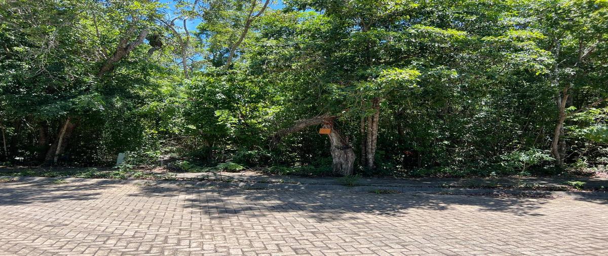 Foto de terreno habitacional en venta en  , aldea zama, tulum, quintana roo, 0 No. 03