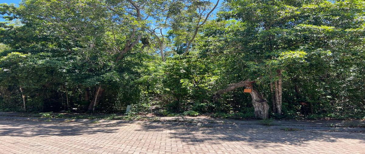 Foto de terreno habitacional en venta en  , aldea zama, tulum, quintana roo, 0 No. 04