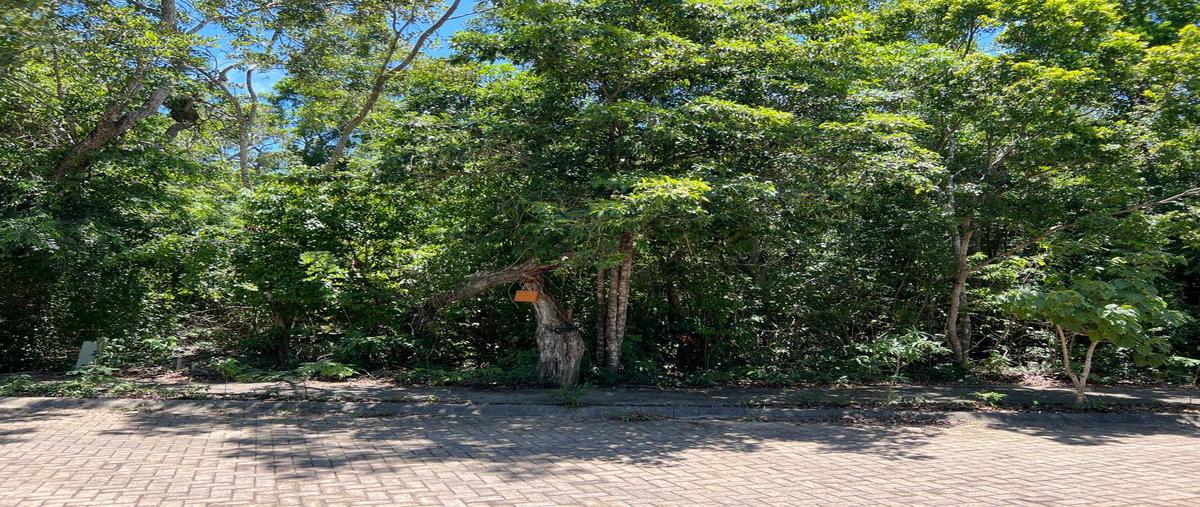 Foto de terreno habitacional en venta en  , aldea zama, tulum, quintana roo, 0 No. 05
