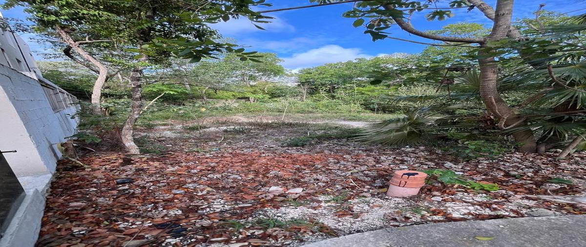 Foto de terreno comercial en , aldea zama, tulum, quintana roo, 31022753 foto 03 Foto de terreno comercial en venta en , aldea zama, tulum, quintana roo, 31022753 No. 03