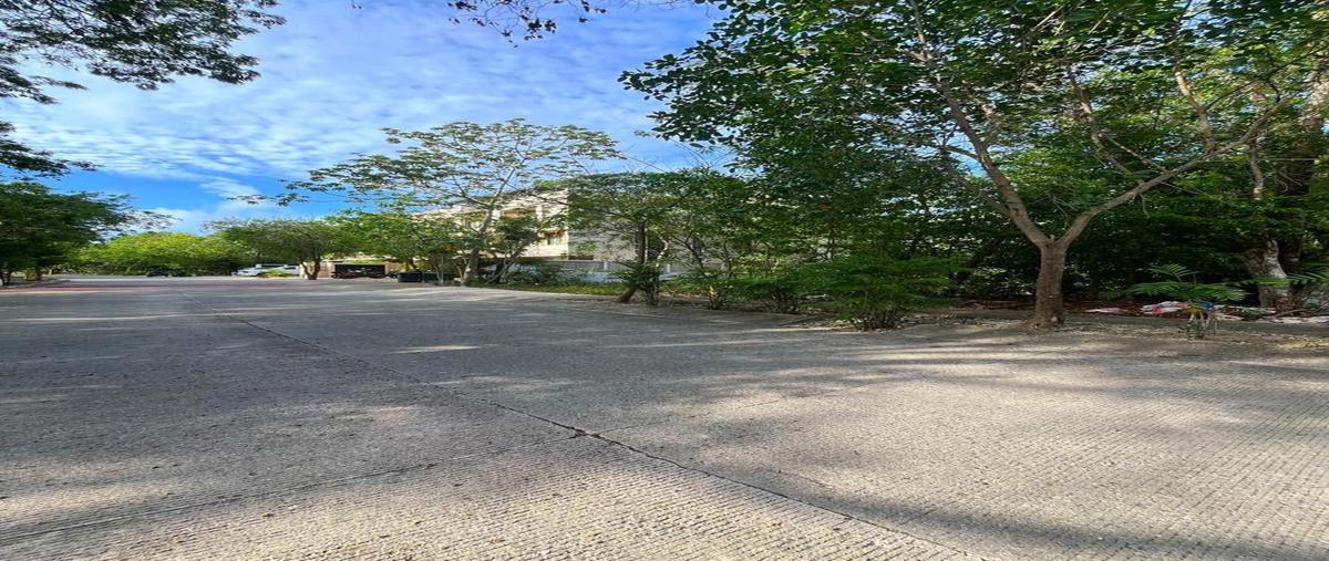 Foto de terreno comercial en , aldea zama, tulum, quintana roo, 31022753 foto 04 Foto de terreno comercial en venta en , aldea zama, tulum, quintana roo, 31022753 No. 04