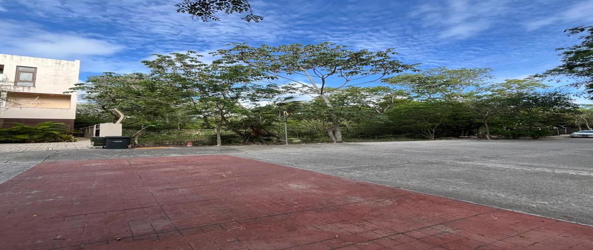 Foto de terreno comercial en , aldea zama, tulum, quintana roo, 31022753 foto 05 Foto de terreno comercial en venta en , aldea zama, tulum, quintana roo, 31022753 No. 05