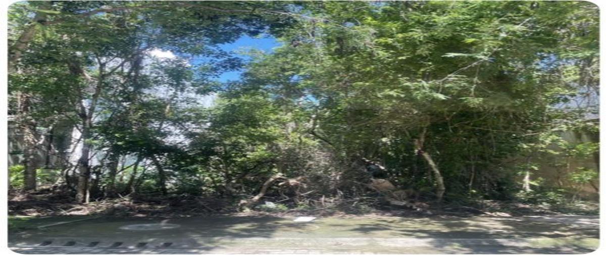 Foto de terreno habitacional en venta en  , aldea zama, tulum, quintana roo, 0 No. 04