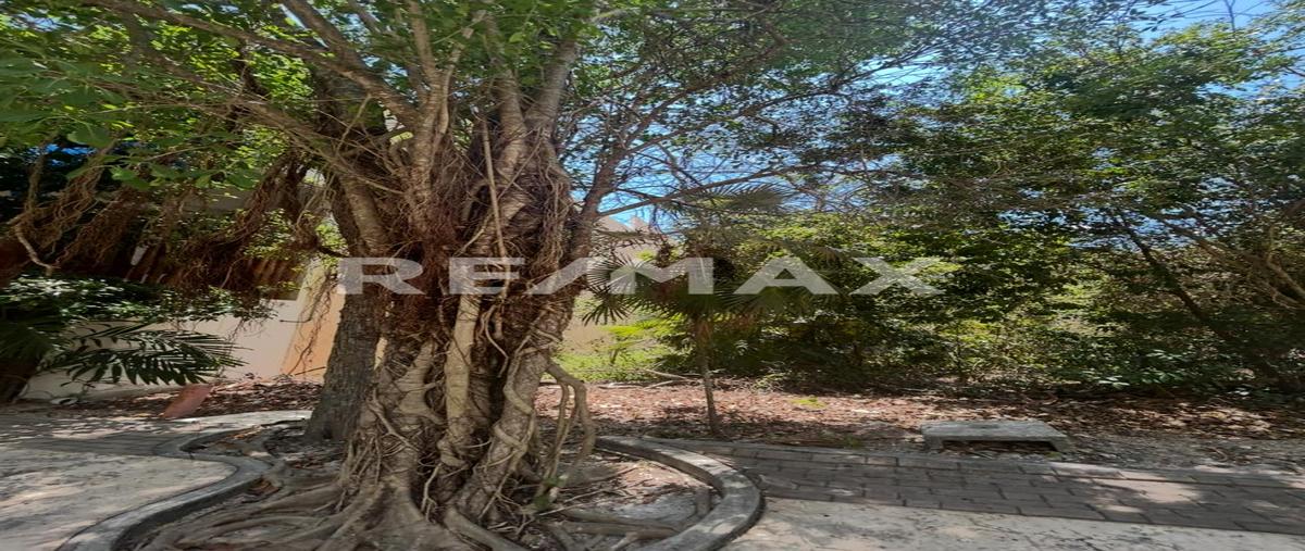 Foto de terreno comercial en venta en aldea zamá tulum , tulum centro, tulum, quintana roo, 0 No. 03
