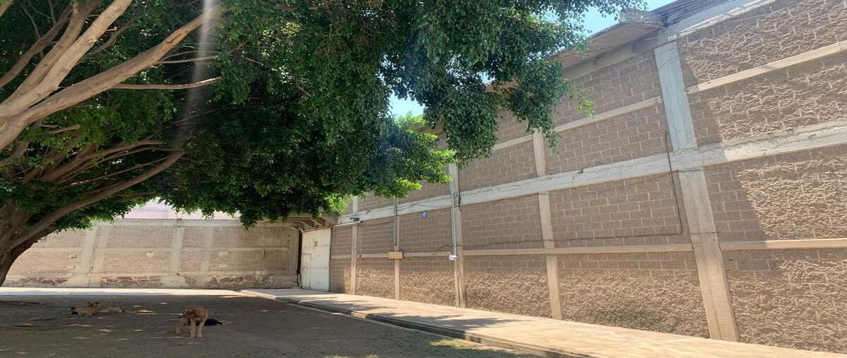 Foto de bodega en venta en alejandro ramirez hernandez , san juan tlalpizahuac, ixtapaluca, méxico, 28418522 No. 03