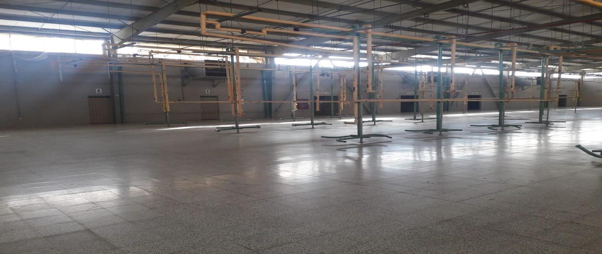 Foto de nave industrial en venta en alejandro von humboldt sur 252 , vicente guerrero, perote, veracruz de ignacio de la llave, 21852395 No. 03