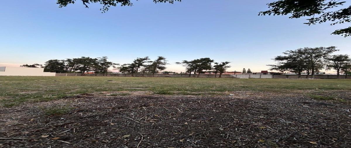 Foto de terreno habitacional en venta en alfonsina , cortijo de la alfonsina, atlixco, puebla, 31133288 No. 03
