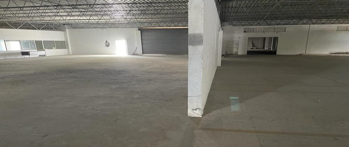 Foto de bodega en renta en  , alfonso martinez domínguez, guadalupe, nuevo león, 27120546 No. 03