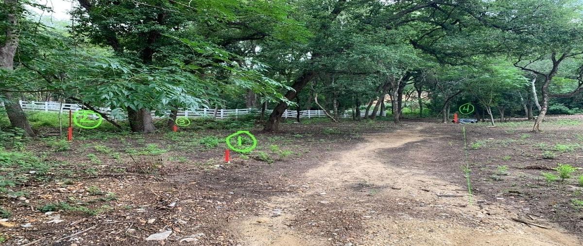 Foto de terreno habitacional en , alfonso martinez dominguez, montemorelos, nuevo león, 0 foto 02 Foto de terreno habitacional en venta en , alfonso martinez dominguez, montemorelos, nuevo león, 0 No. 02