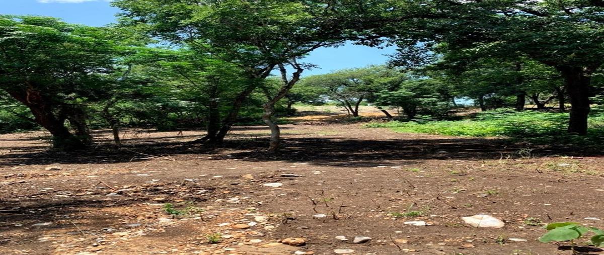 Foto de terreno habitacional en , alfonso martinez dominguez, montemorelos, nuevo león, 0 foto 05 Foto de terreno habitacional en venta en , alfonso martinez dominguez, montemorelos, nuevo león, 0 No. 05