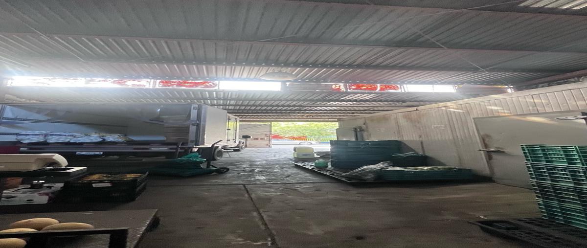 Foto de bodega en venta en  , alfonso reyes, monterrey, nuevo león, 0 No. 04
