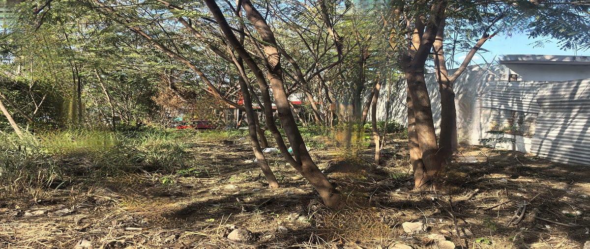 Foto de terreno habitacional en venta en alfonso ruiz , rivera cerro hueco, tuxtla gutiérrez, chiapas, 0 No. 04