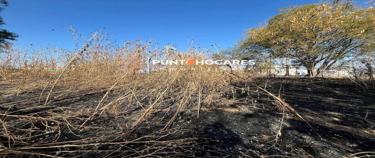 Foto de terreno habitacional en venta en alfonso sereno , la soledad, morelia, michoacán de ocampo, 29311428 No. 04