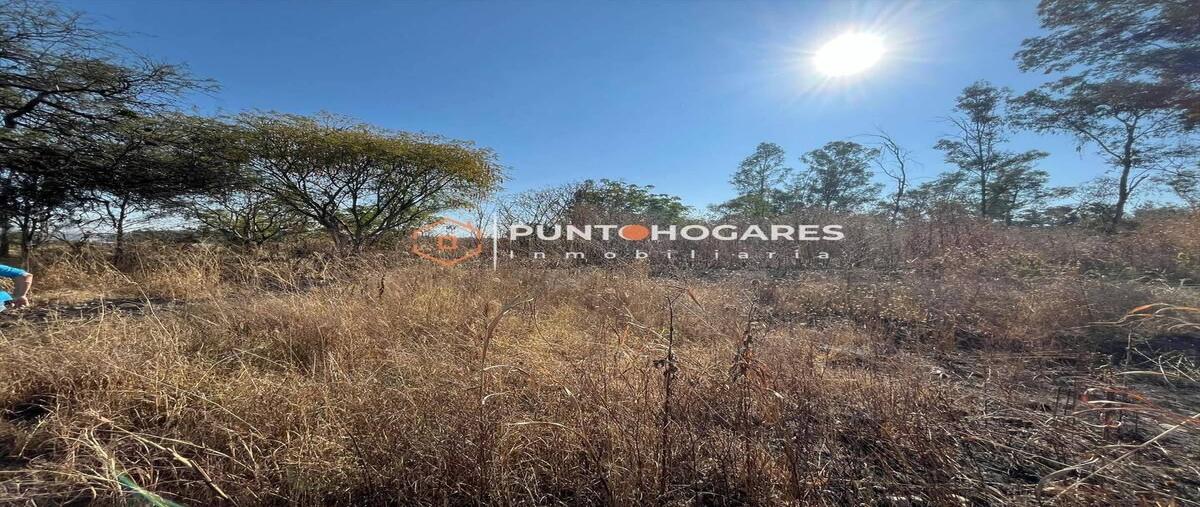 Foto de terreno habitacional en venta en alfonso sereno , la soledad, morelia, michoacán de ocampo, 29311428 No. 05