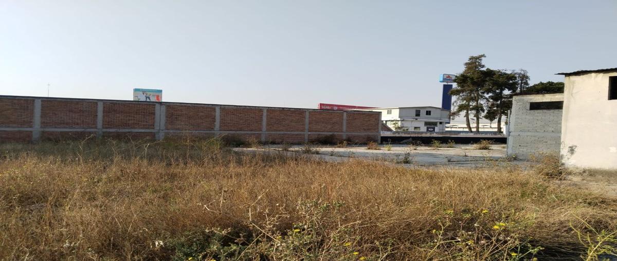 Foto de terreno comercial en renta en alfredo del mazo , san lorenzo tepaltitlán centro, toluca, méxico, 28057493 No. 03
