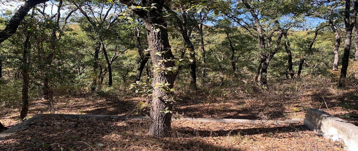 Foto de terreno habitacional en venta en alfredo dumit , campestre haras, amozoc, puebla, 0 No. 04