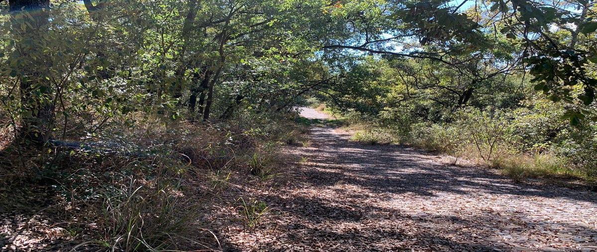 Foto de terreno habitacional en venta en alfredo dumit , campestre haras, amozoc, puebla, 0 No. 05