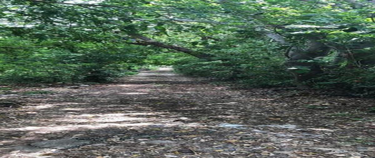 Foto de terreno habitacional en , alfredo v bonfil, acapulco de juárez, guerrero, 25096281 foto 03 Foto de terreno habitacional en venta en , alfredo v bonfil, acapulco de juárez, guerrero, 25096281 No. 03