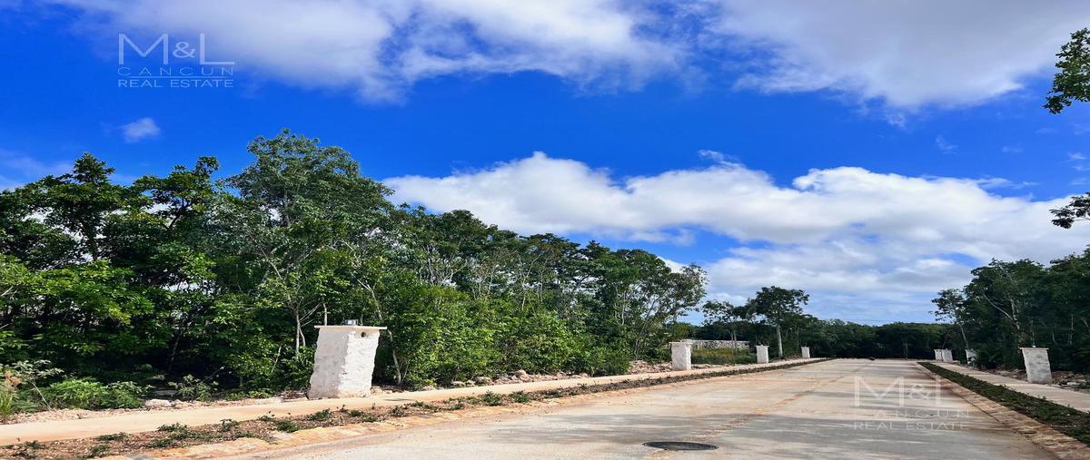 Foto de terreno habitacional en venta en  , alfredo v bonfil, benito juárez, quintana roo, 23980706 No. 05