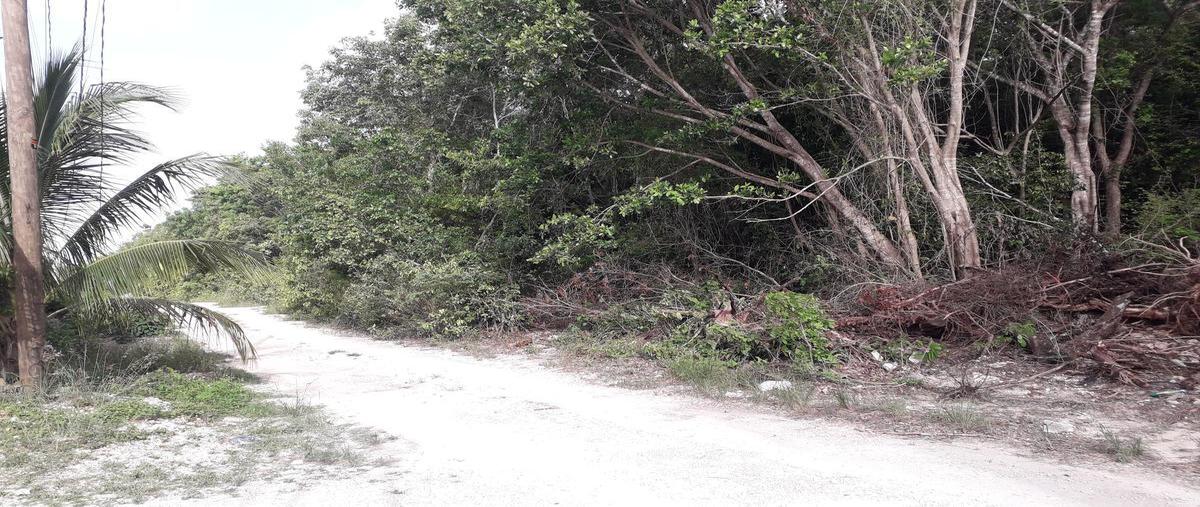 Foto de terreno habitacional en venta en  , alfredo v bonfil, benito juárez, quintana roo, 25160559 No. 03