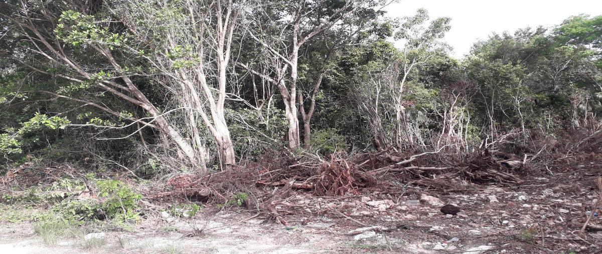 Foto de terreno habitacional en venta en  , alfredo v bonfil, benito juárez, quintana roo, 25160559 No. 04