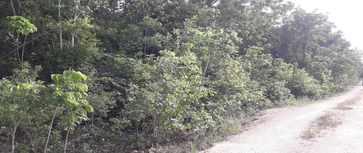 Foto de terreno habitacional en venta en  , alfredo v bonfil, benito juárez, quintana roo, 25160559 No. 05