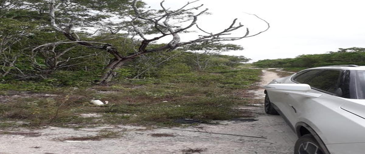 Foto de terreno habitacional en venta en  , alfredo v bonfil, benito juárez, quintana roo, 25212804 No. 03