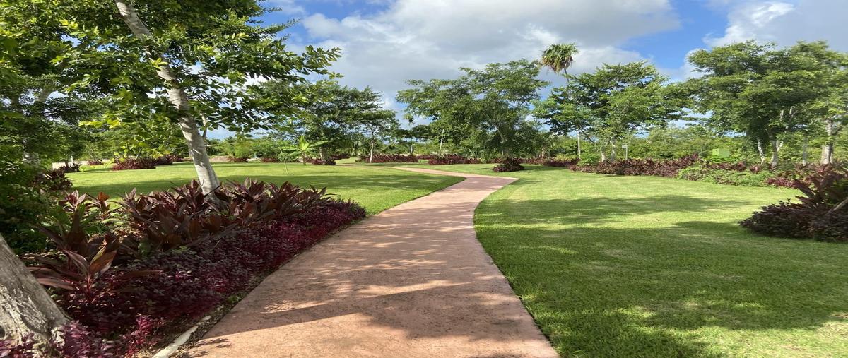 Foto de terreno habitacional en venta en  , alfredo v bonfil, benito juárez, quintana roo, 25802499 No. 03