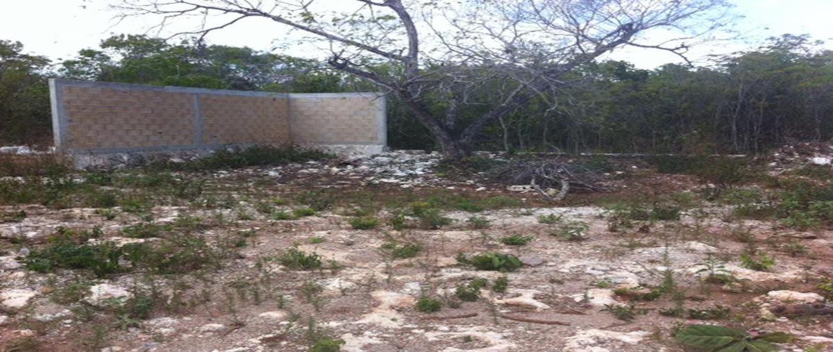 Foto de terreno habitacional en , alfredo v bonfil, benito juárez, quintana roo, 0 foto 03 Foto de terreno habitacional en venta en , alfredo v bonfil, benito juárez, quintana roo, 0 No. 03