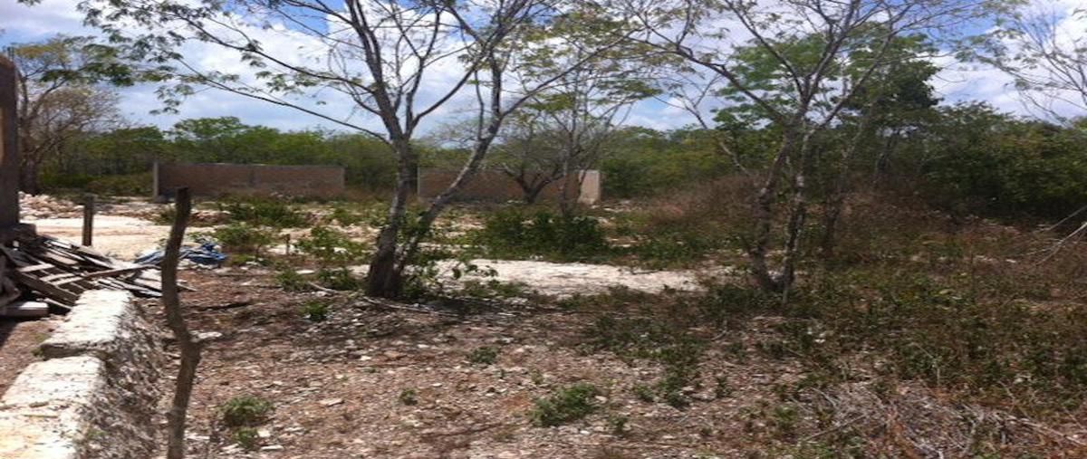 Foto de terreno habitacional en , alfredo v bonfil, benito juárez, quintana roo, 0 foto 05 Foto de terreno habitacional en venta en , alfredo v bonfil, benito juárez, quintana roo, 0 No. 05