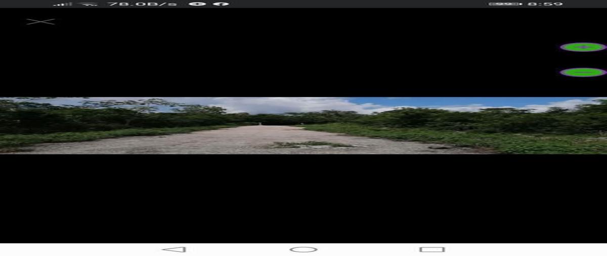 Foto de terreno habitacional en venta en  , alfredo v bonfil, benito juárez, quintana roo, 26219354 No. 05