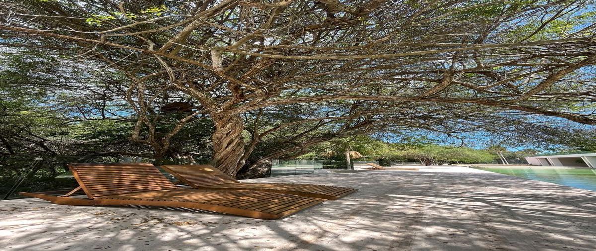 Foto de terreno habitacional en venta en  , alfredo v bonfil, benito juárez, quintana roo, 26638479 No. 05