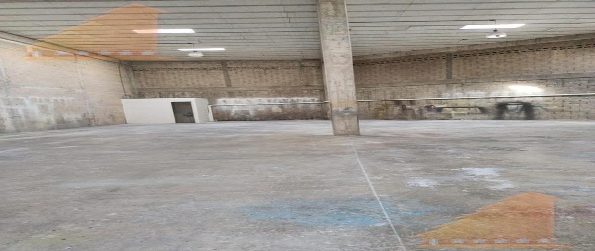 Foto de nave industrial en renta en  , alfredo v bonfil, benito juárez, quintana roo, 0 No. 05